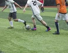 帕爾默,挑戰富勒姆,非易事,新葡京,新葡京app,新葡京娱乐,新普京赌场