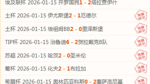 意大利1-0小胜威爾士，佩西纳进球贝爾错失良机 欧洲杯A組第3輪精彩呈现