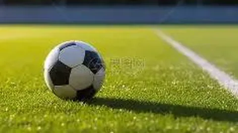 吉伦沃特回归狂砍19+10，广东以29分优势击败四川，徐杰胡明轩联手贡献22+11！